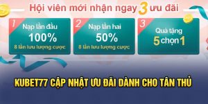 Khuyến Mãi Hấp Dẫn và Quà Tặng diễn ra Liên Tục 